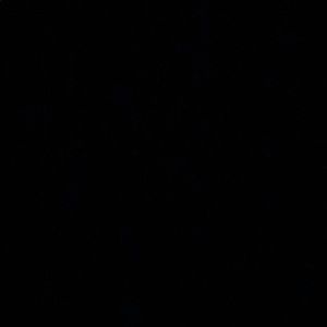 Meet your Posher, Ashlyn